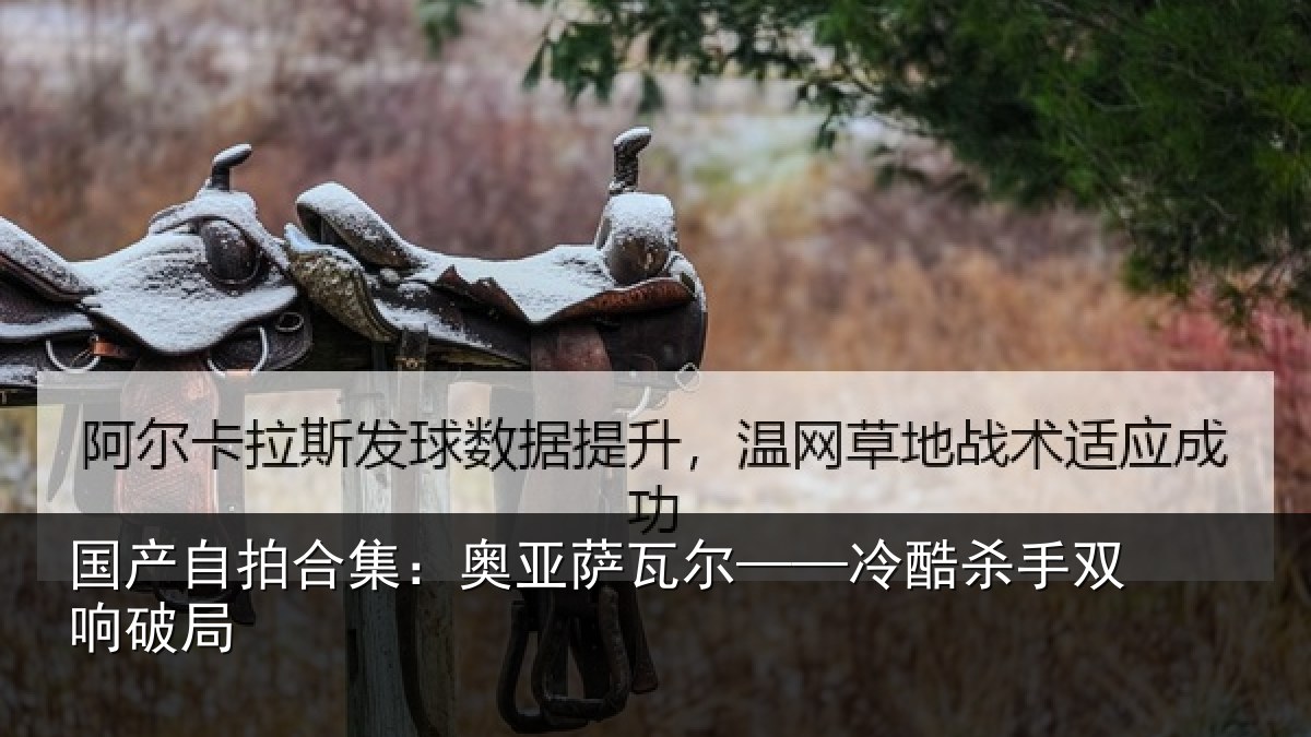 国产自拍合集:奥亚萨瓦尔——冷酷杀手双响破局