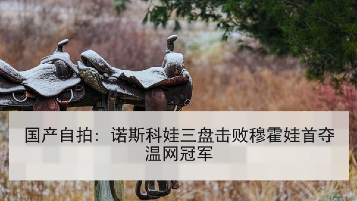国产自拍: 诺斯科娃三盘击败穆霍娃首夺温网冠军 国产自拍: 诺斯科娃三盘击败穆霍娃首夺温网冠军