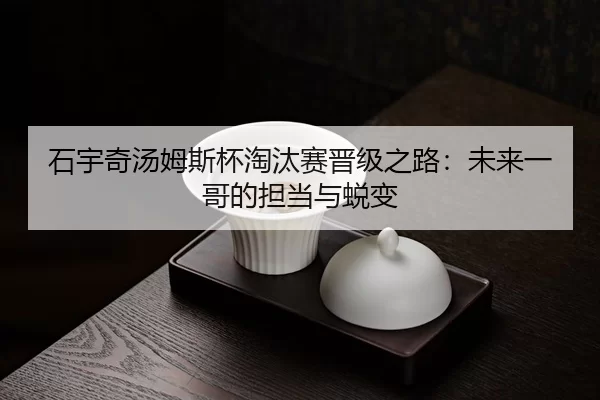 石宇奇汤姆斯杯淘汰赛晋级之路：未来一哥的担当与蜕变