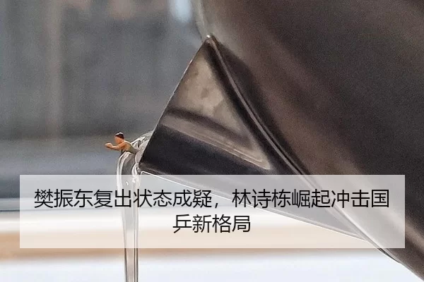 樊振东复出状态成疑，林诗栋崛起冲击国乒新格局